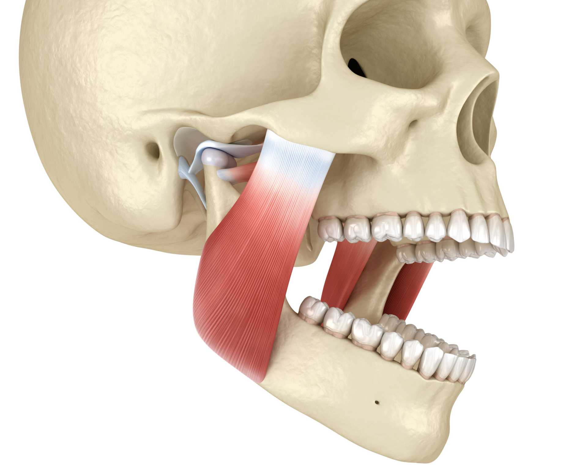 TMJ Disorder Treatment in McAllen, TX